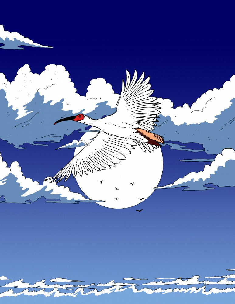 White Crane