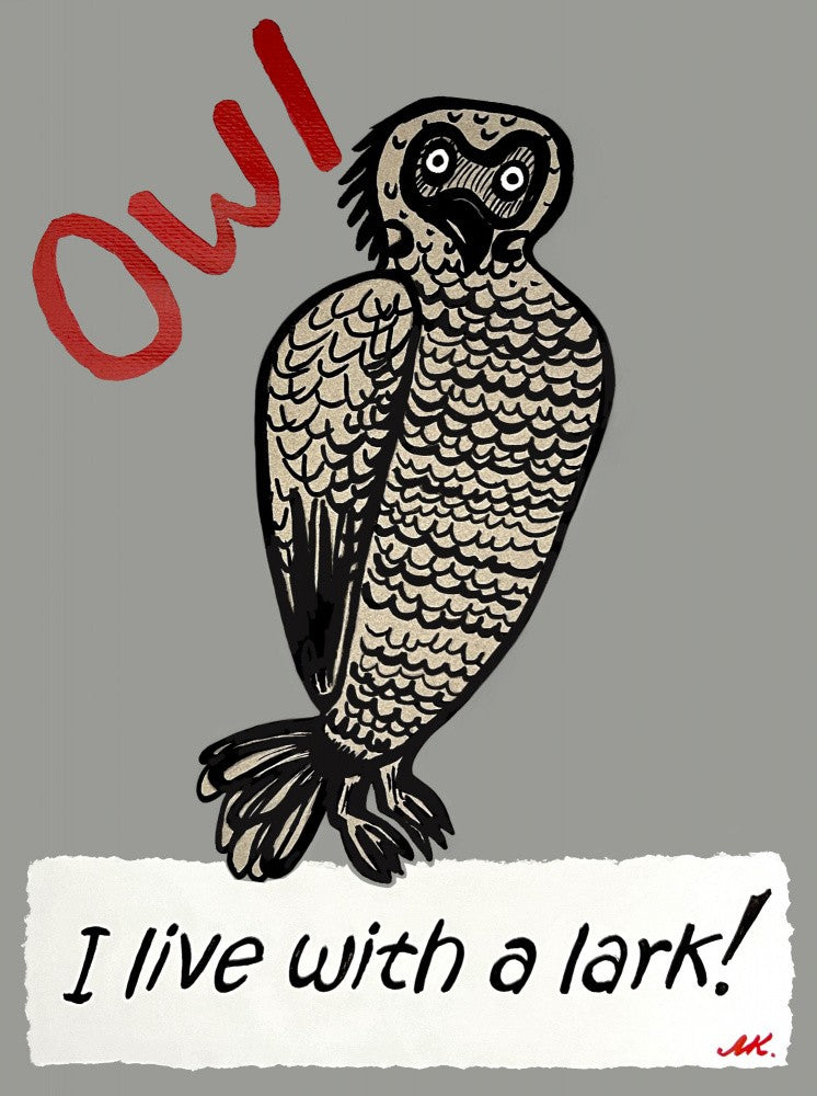Owl Grey