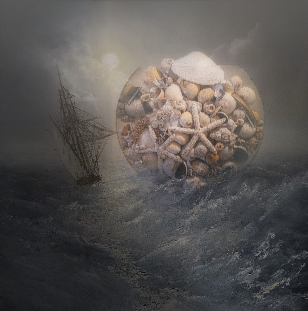 Shells in Storm