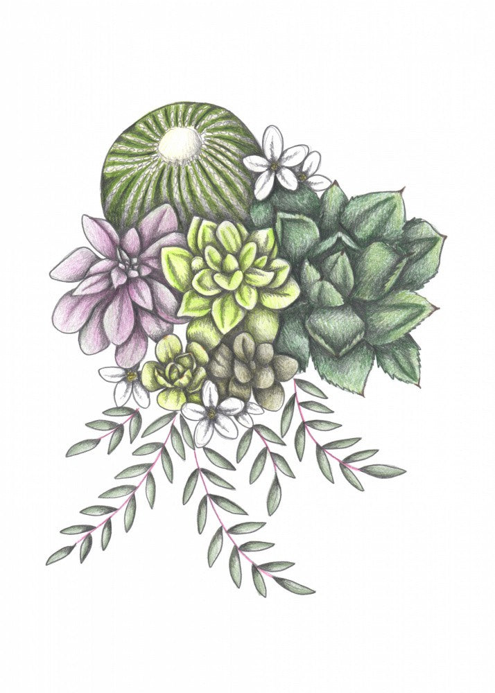 Succulents & Flowers