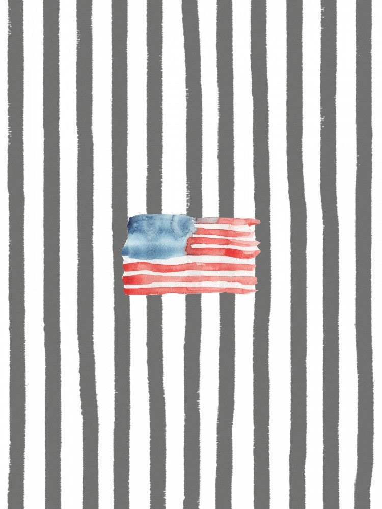 Coastal Flag Black Watercolor Stripes