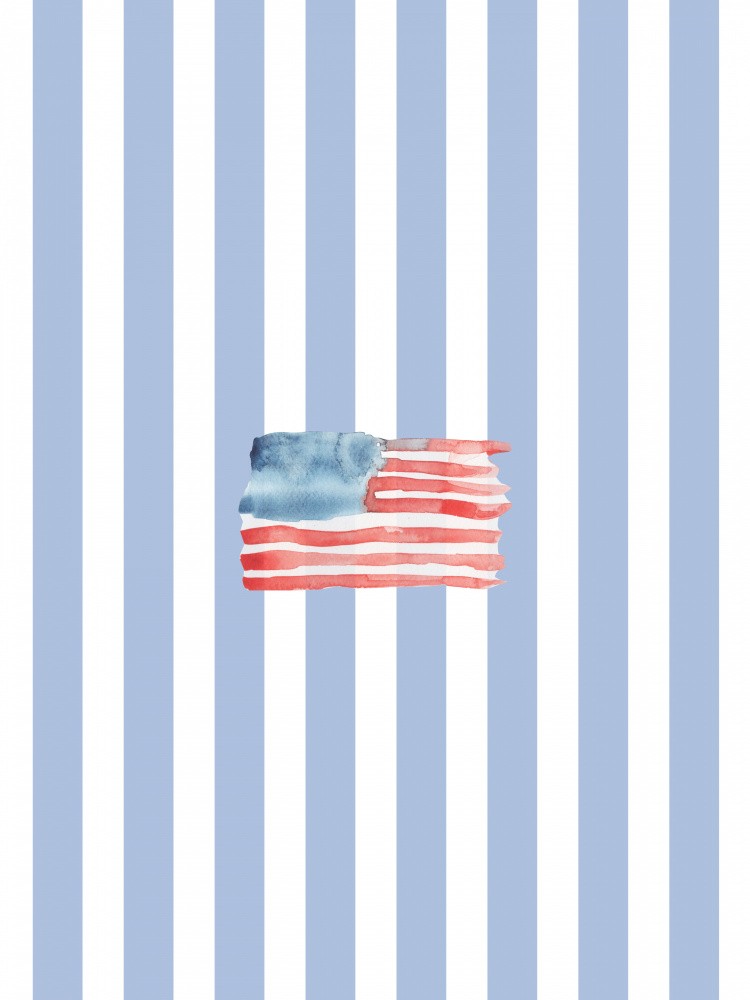 Coastal Flag Clean Blue Stripes