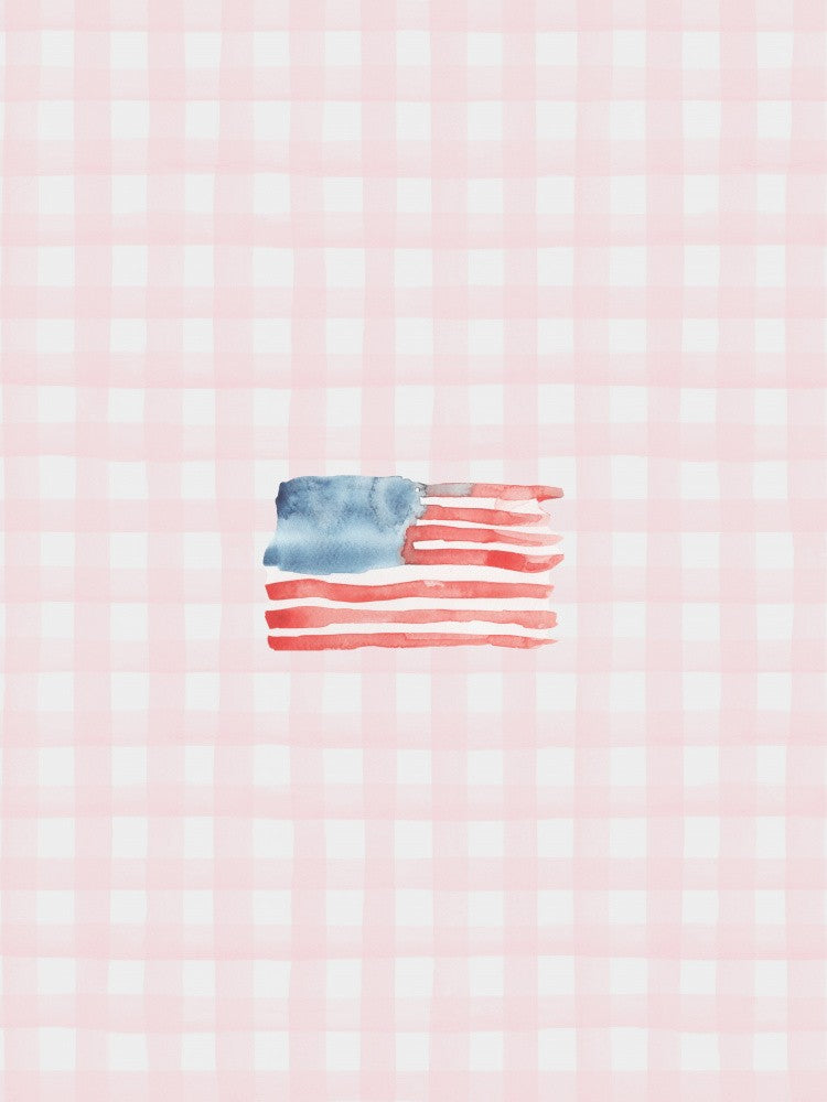 Coastal Flag Pale Pink Gingham Checks