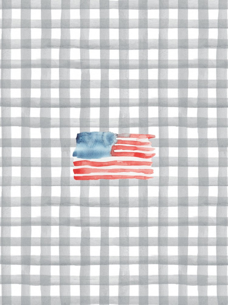 Coastal Flag Tight Black Watercolor Checks