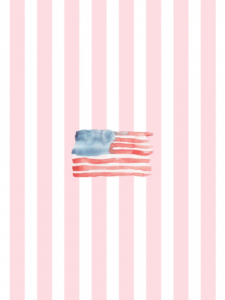 Coastal Flag Clean Pink Stripes