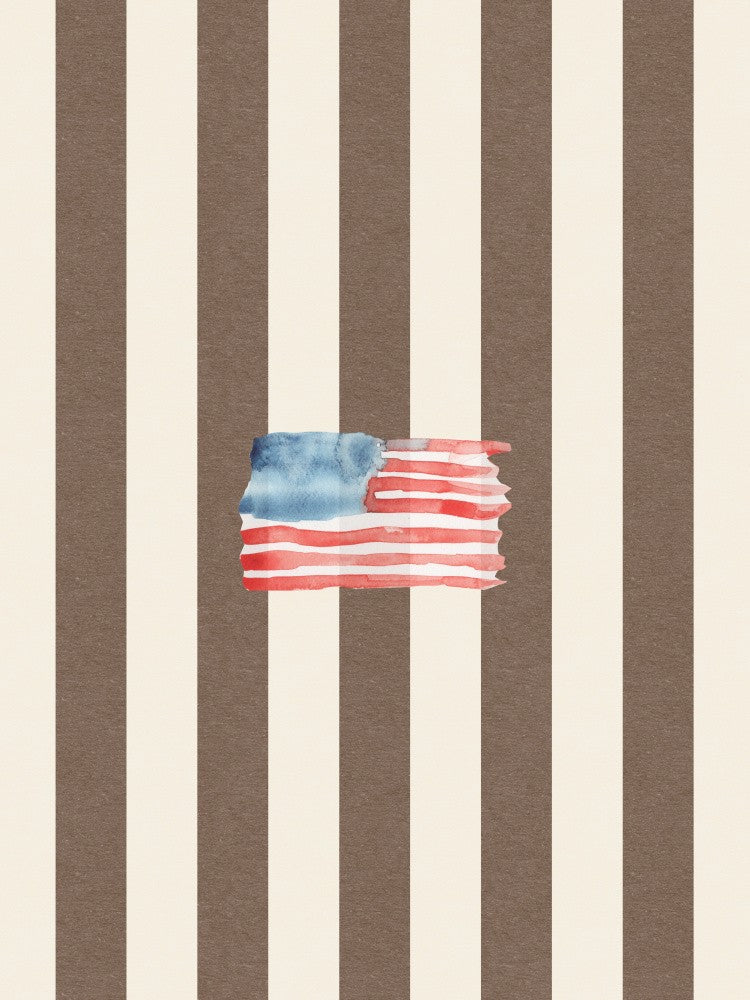 Coastal Flag Vintage Textured Brown Stripes