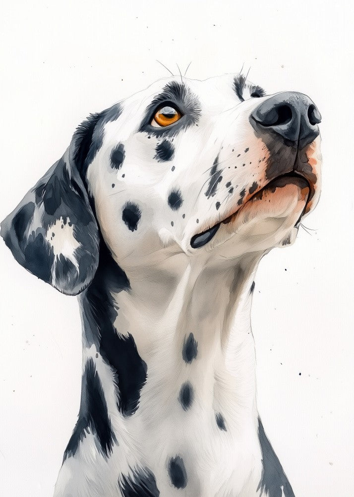 Dog Dalmatian