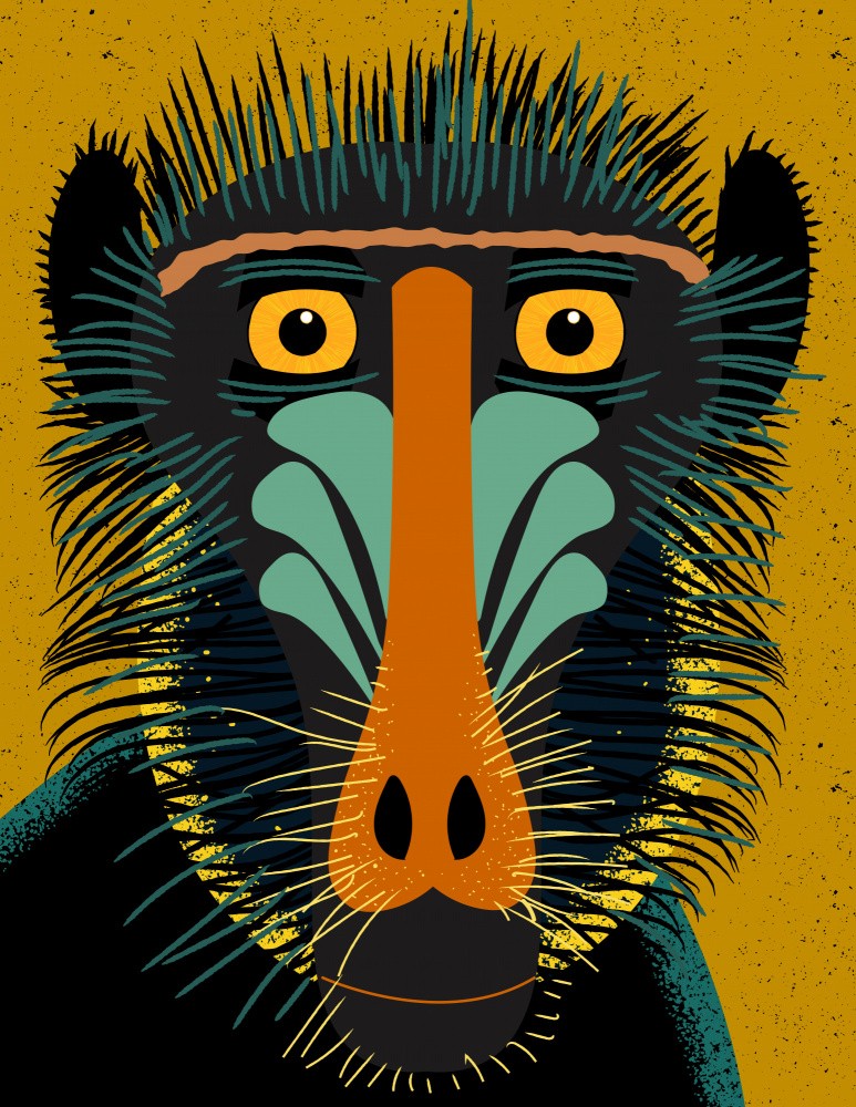 Mandrill