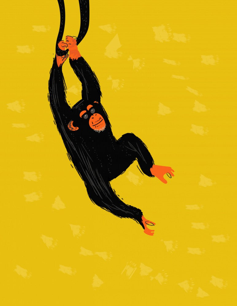 Chimpanzee Hanging