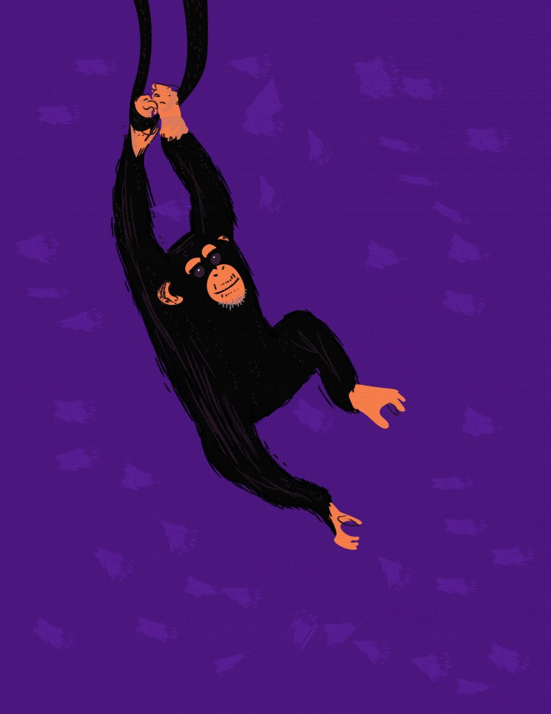 Chimpanzee Hanging