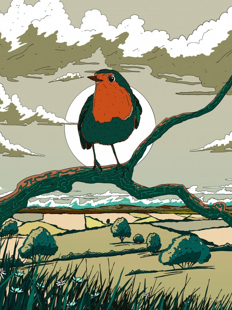 Robin in the Countryside