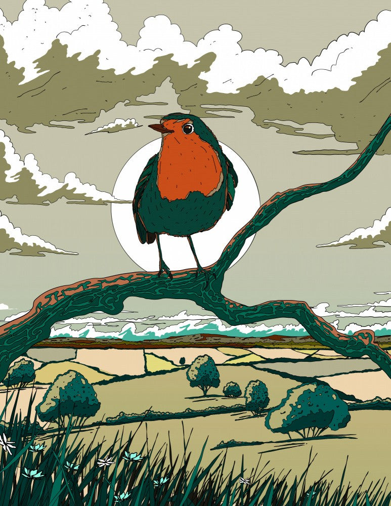 Robin in the Countryside