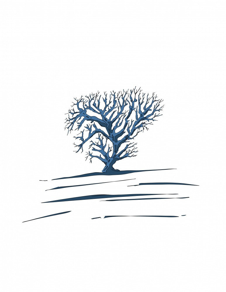 Winter Tree
