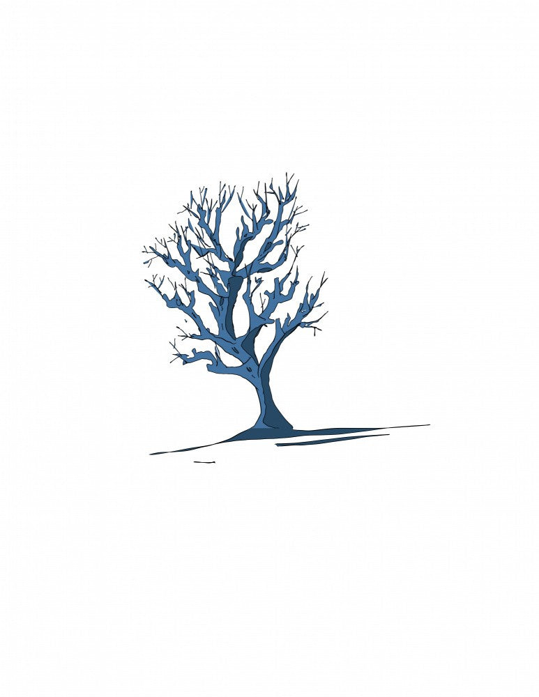 Winterbaum