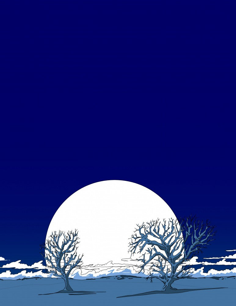 Winter Landscape