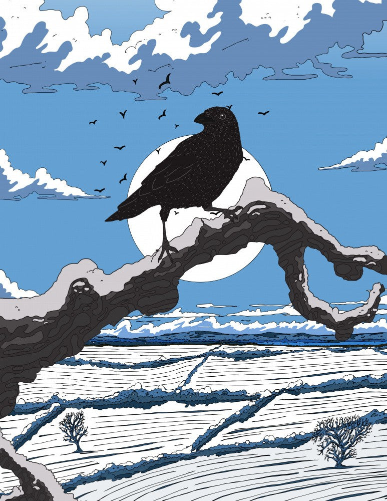 Raven In The Winter