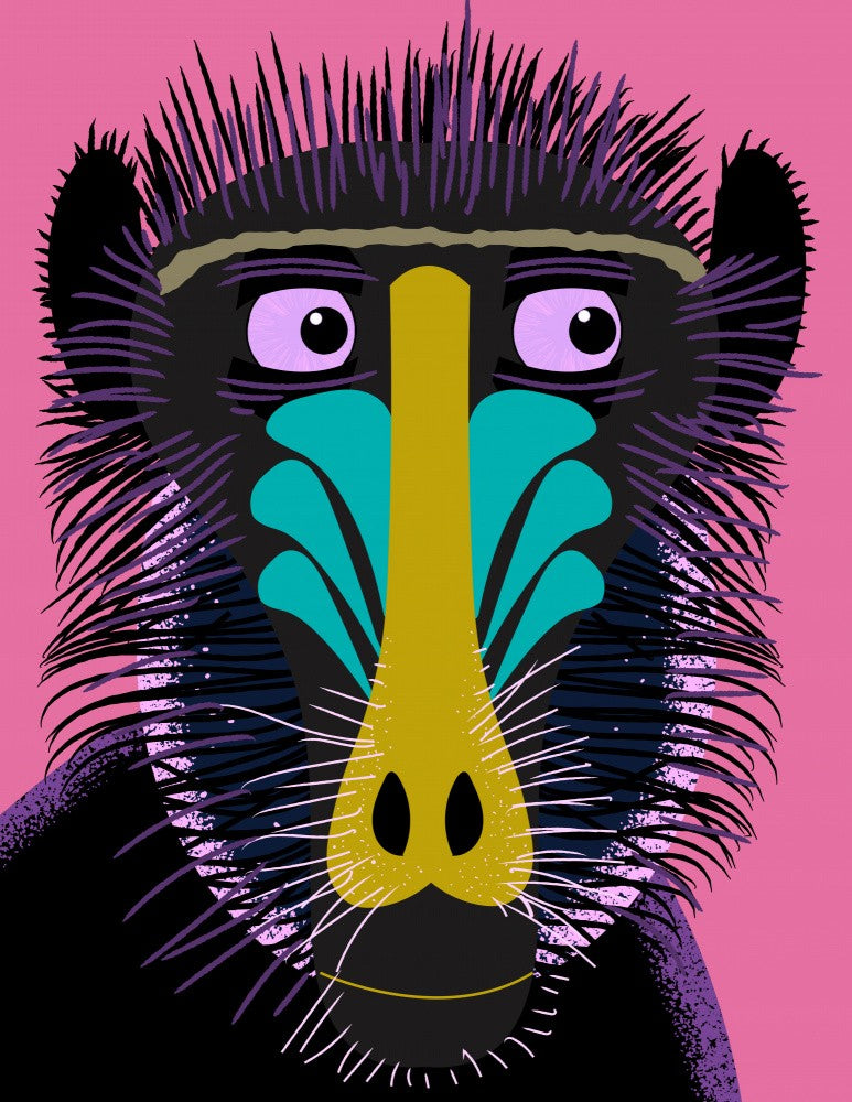 Mandrill Looking left