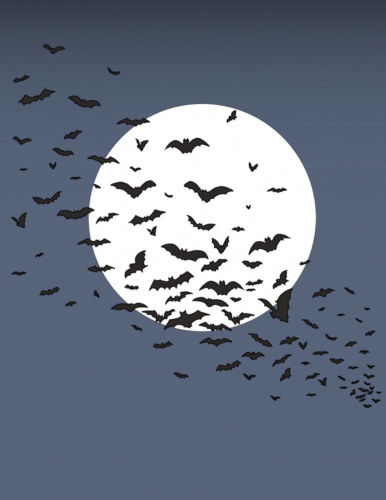 Bats under the Full Moon