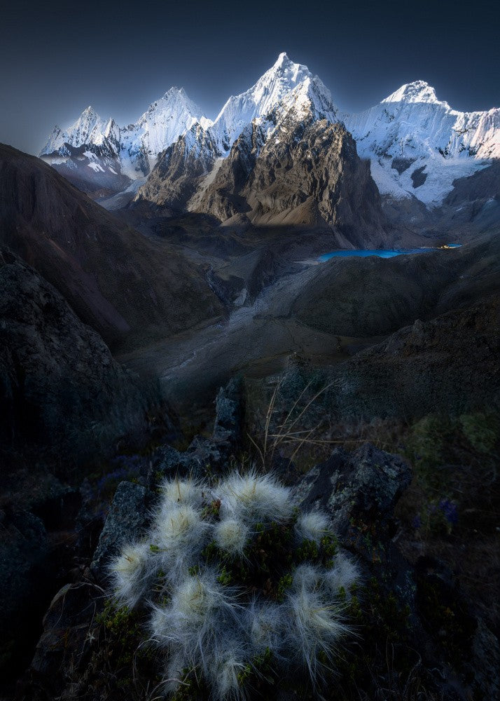 Garden of Inca Highland