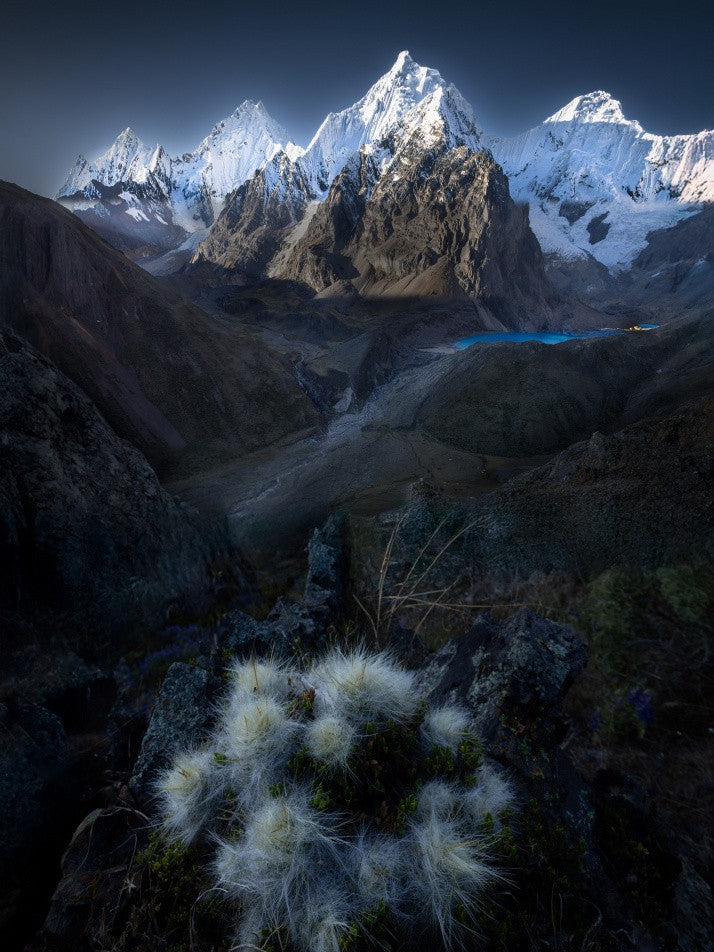 Garden of Inca Highland