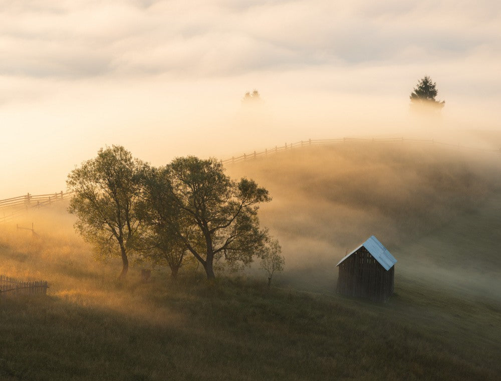 Foggy sunrise