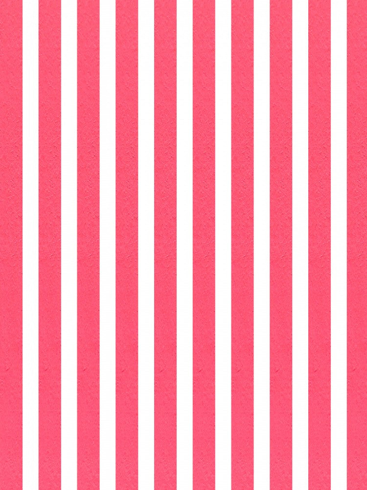 Coral Summer Stripes: Original Modern Acrylic Art