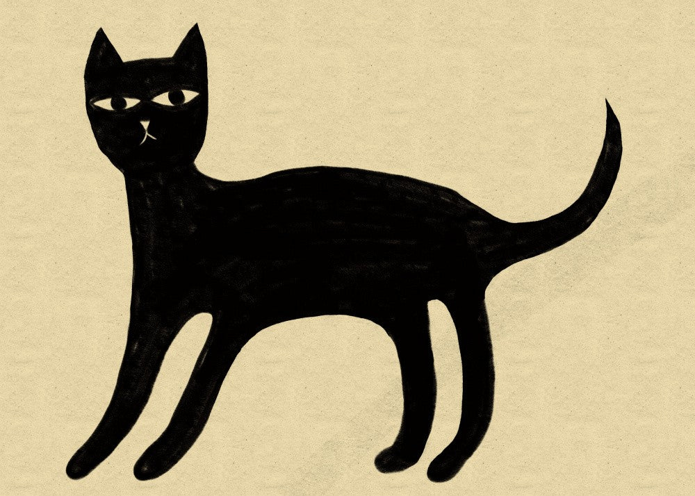 Black cat
