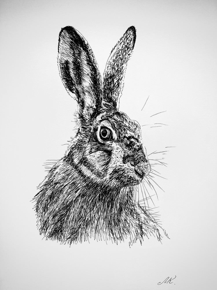 Hare. Graphics Illustration – Minimalist Black &amp; White Hare Art for Home, Office or Gift Interior