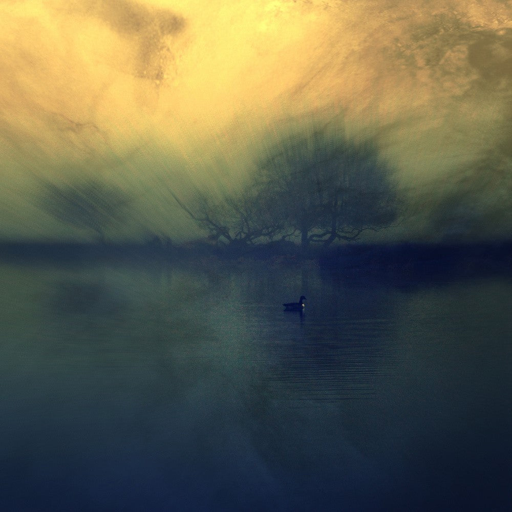 The Lost Morning