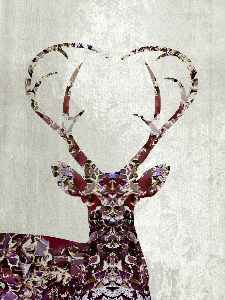 My Deer Love
