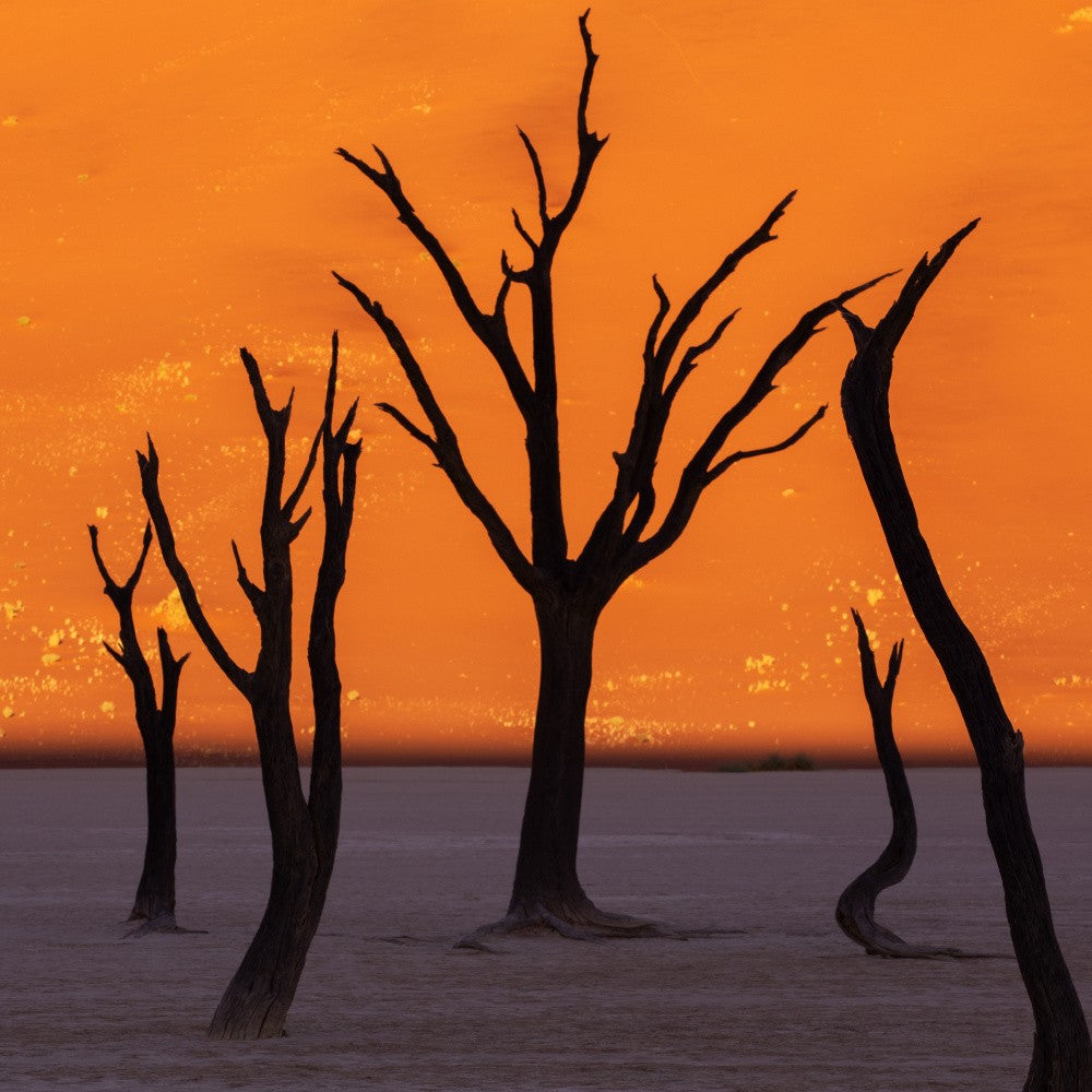 纳米布沙漠    Namib Sand Sea
