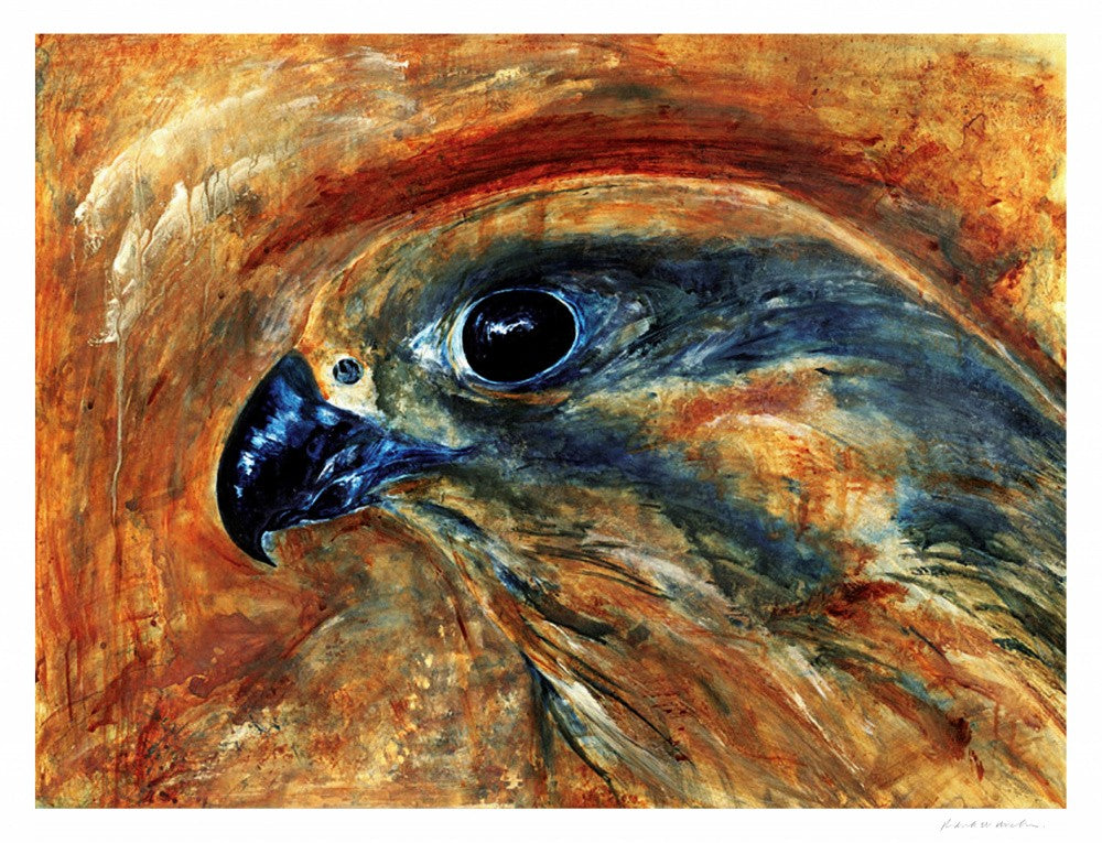 Falcon Aware