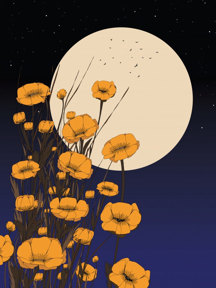 Moonrise