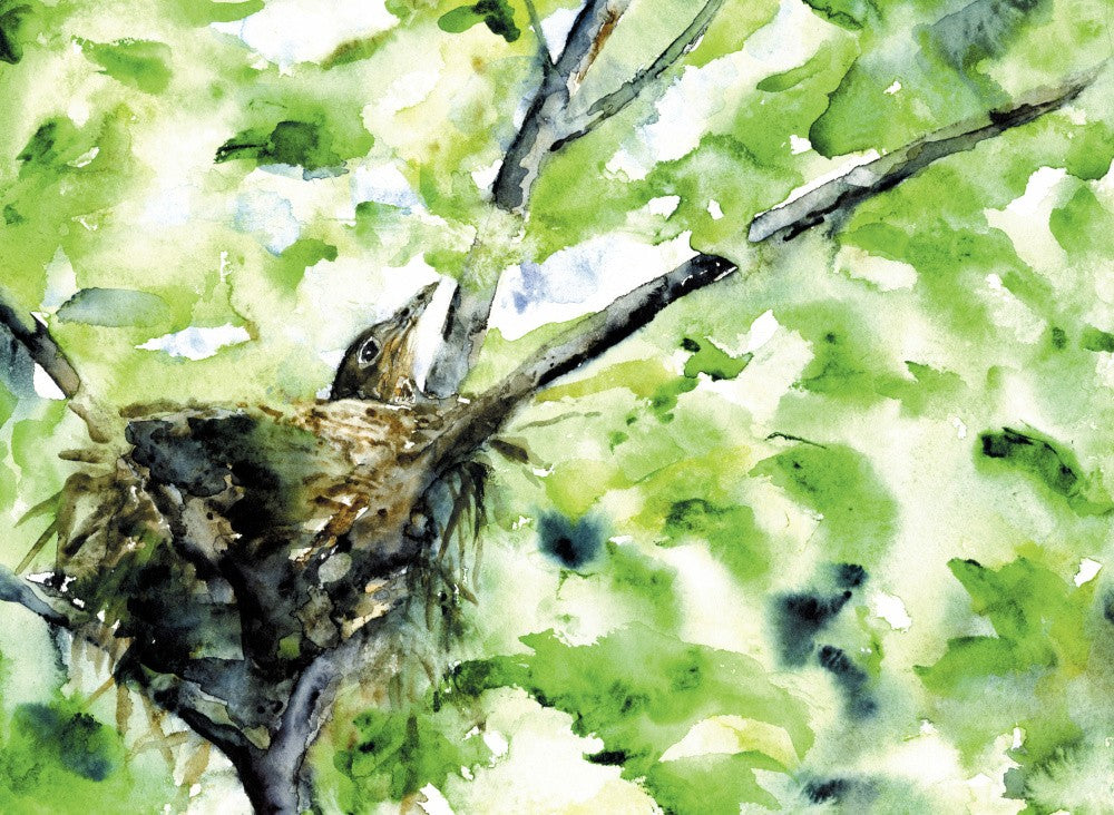 Springnestling