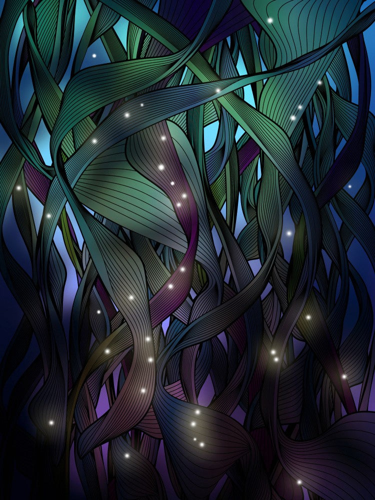Nocturne With Fireflies