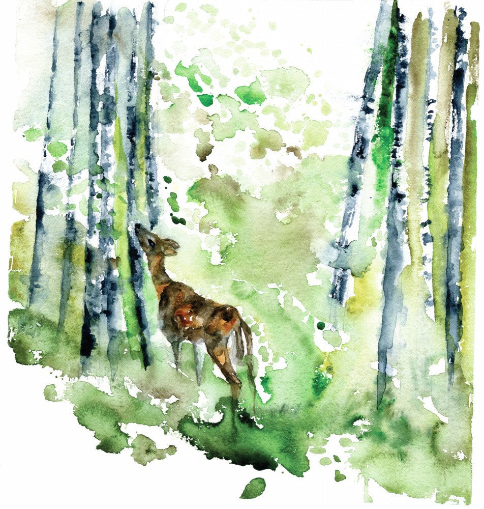Quiet Morning