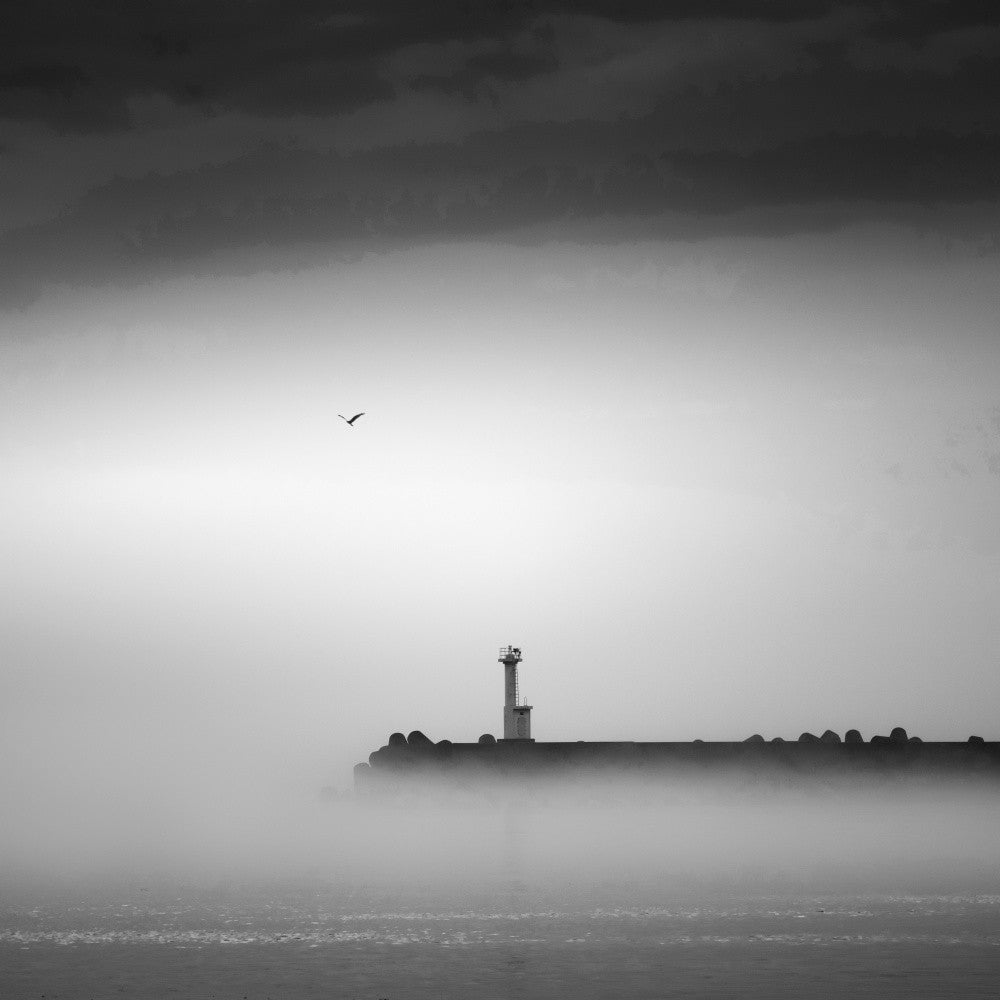 Sea fog