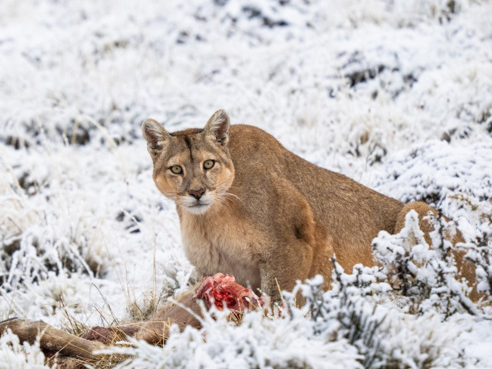 Do not disturb while I'm eating !!