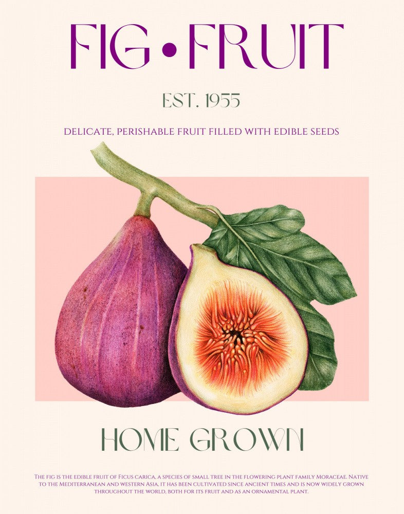 Vintage Fig Delight
