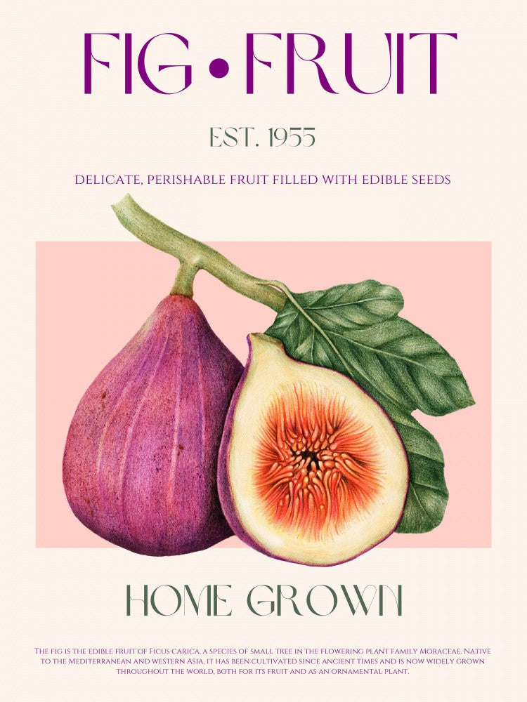Vintage Fig Delight