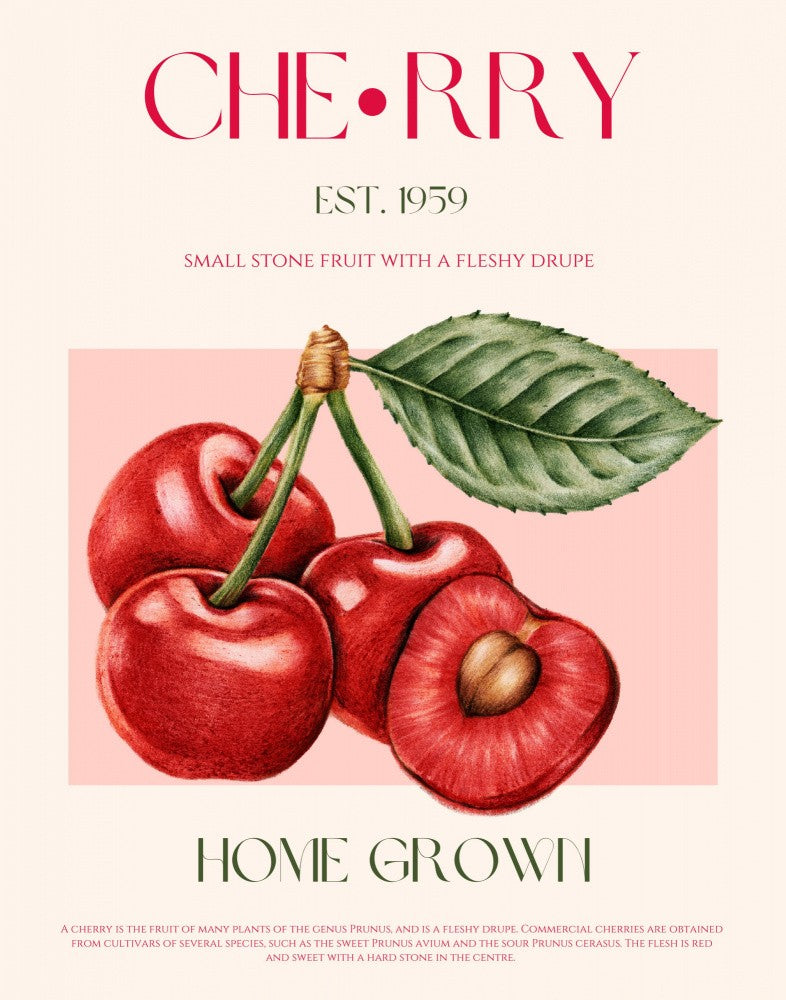 Sweet Red Cherries