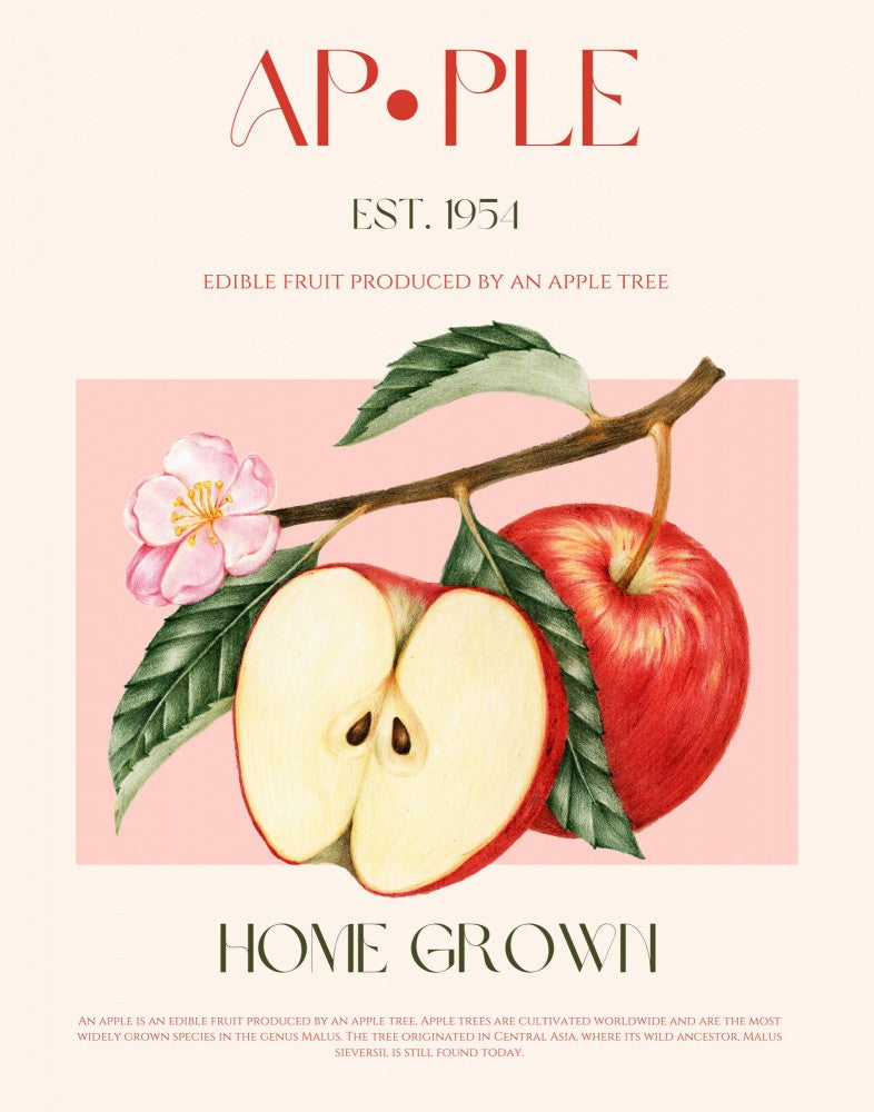 Harvested Apples