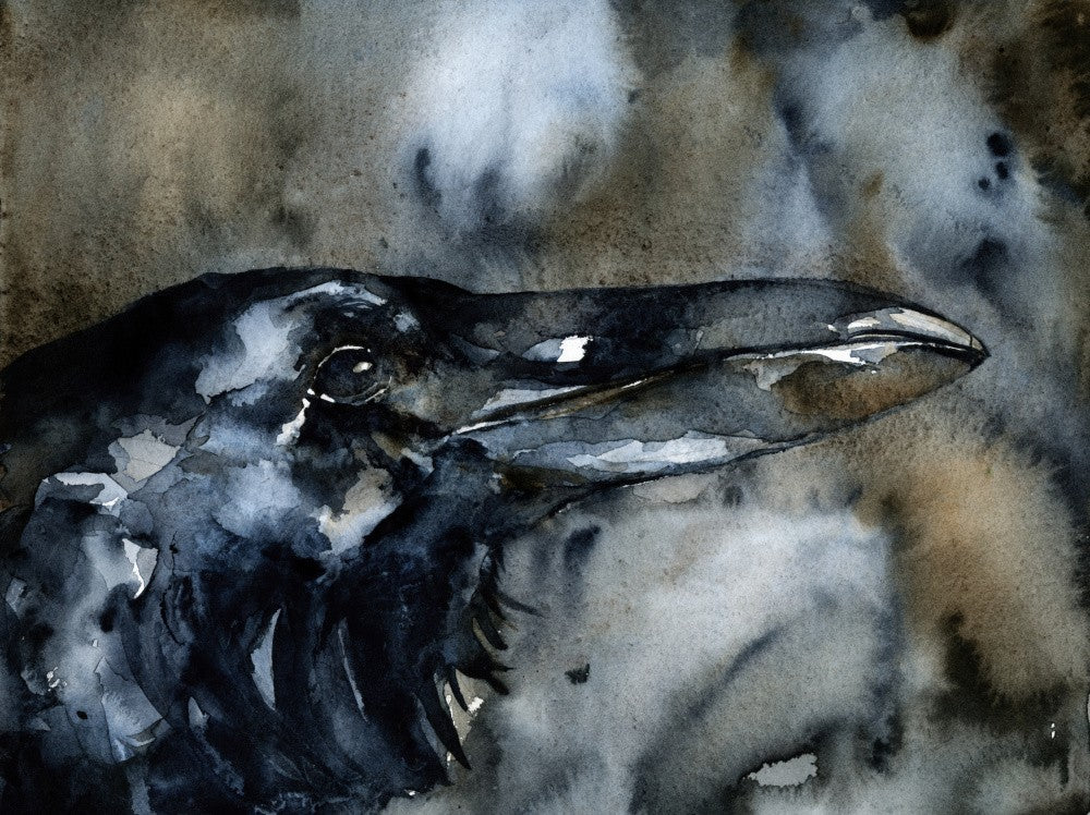 Poes Raven II