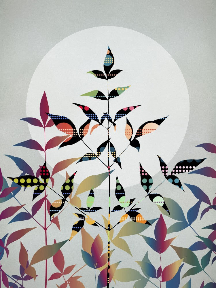 Flutter