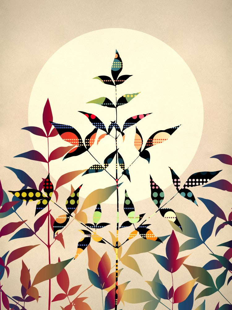 Flutter (dusk)