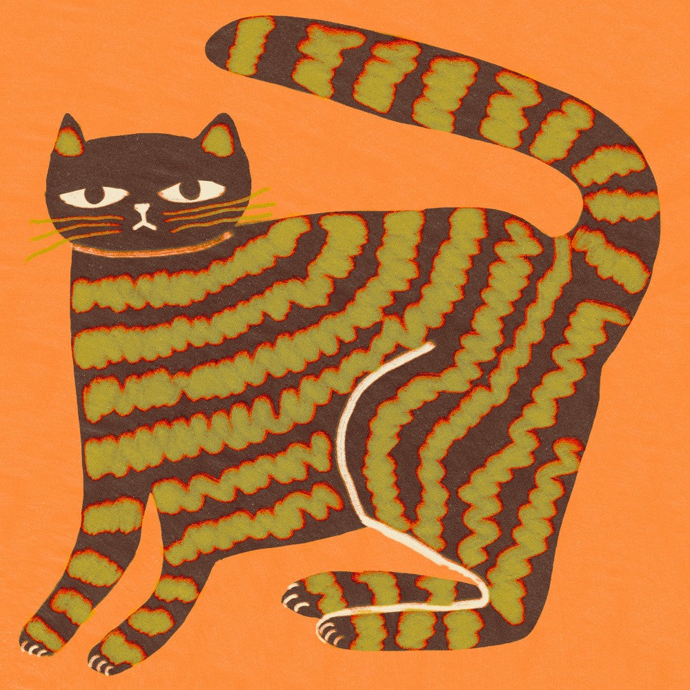 Cat with stripes