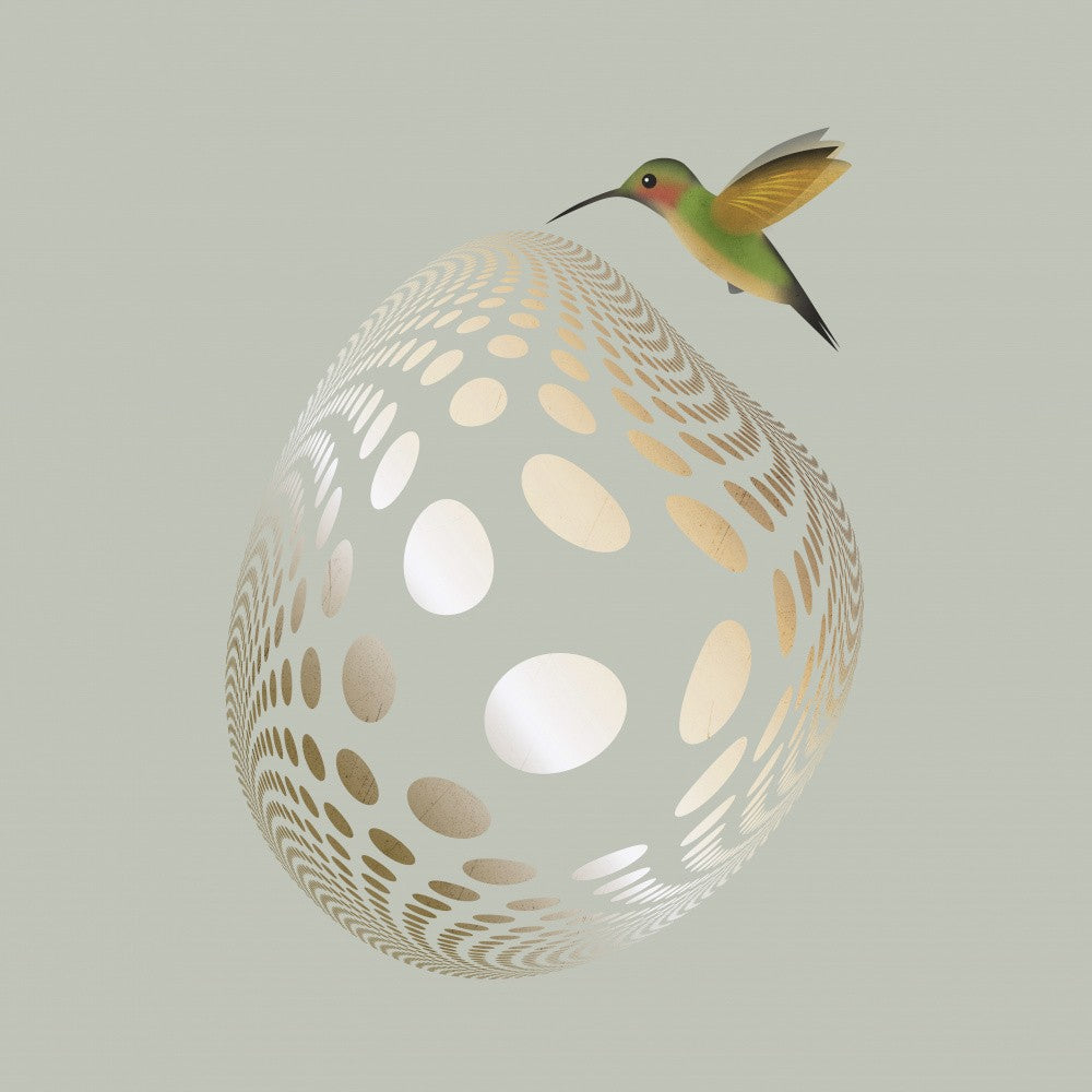 Hummingbird and Bubble