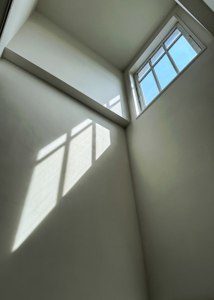 Blue Outside White Inside