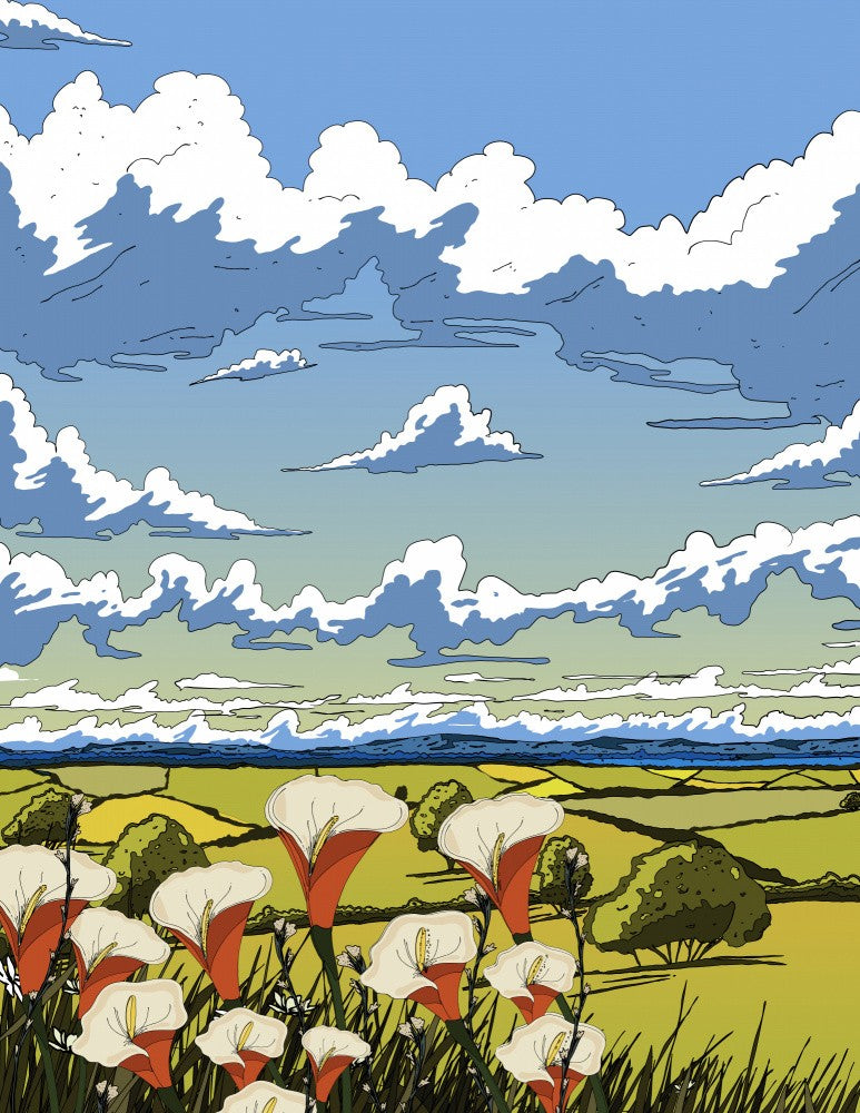 Rural Landscape