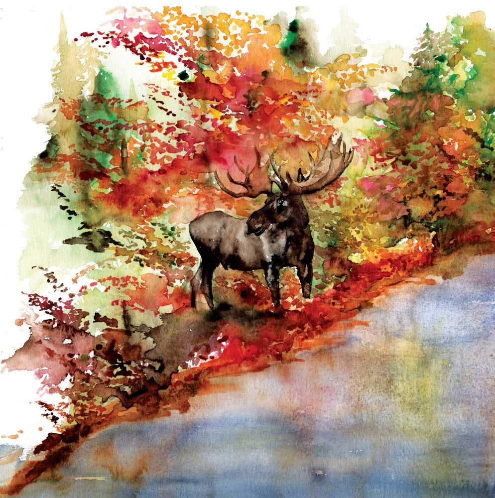 Moose Cove
